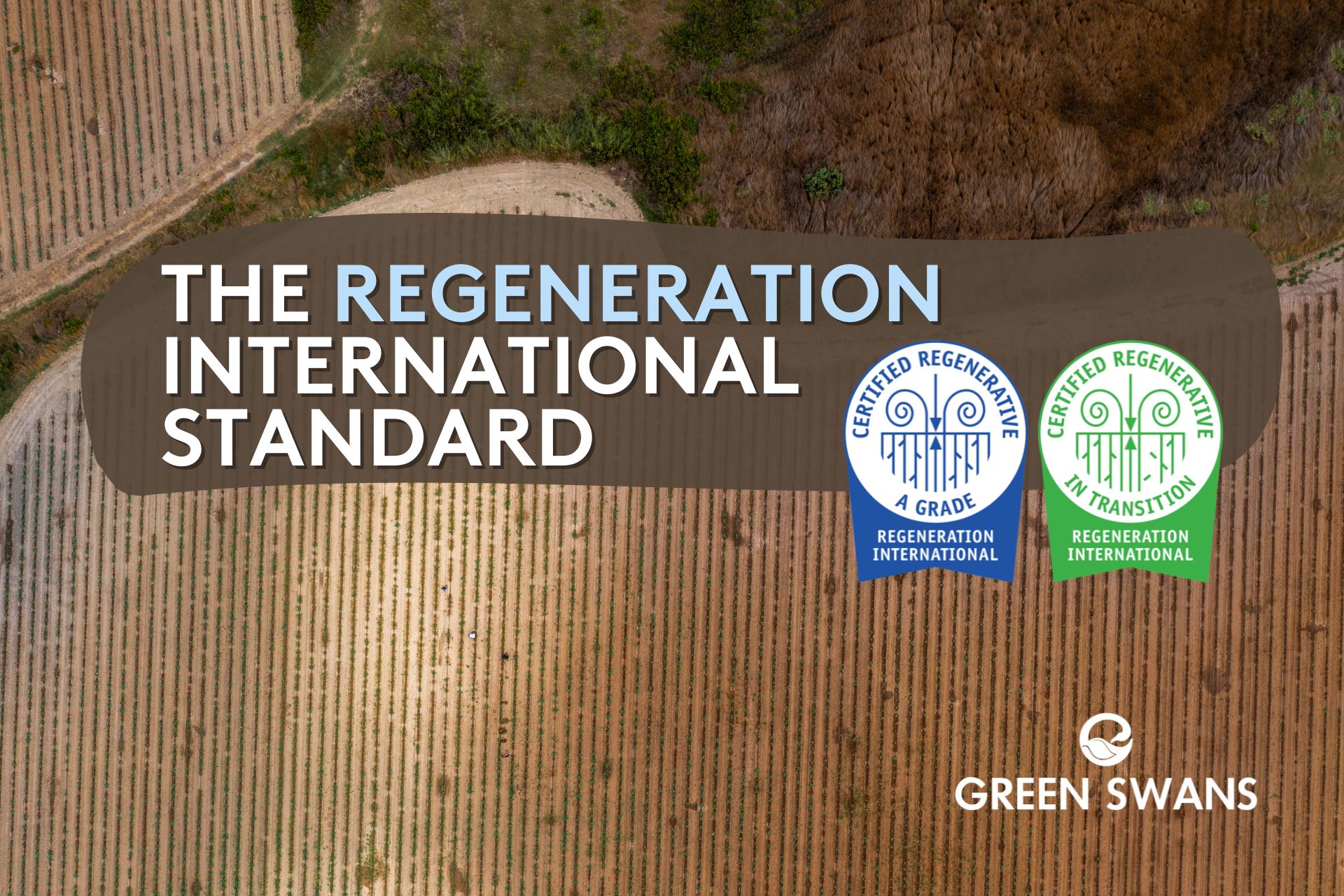 Νέο Πρότυπο Αναγεννητικής Γεωργίας από το Regeneration International: Λιγότερη Γραφειοκρατία, Περισσότερη Ουσία