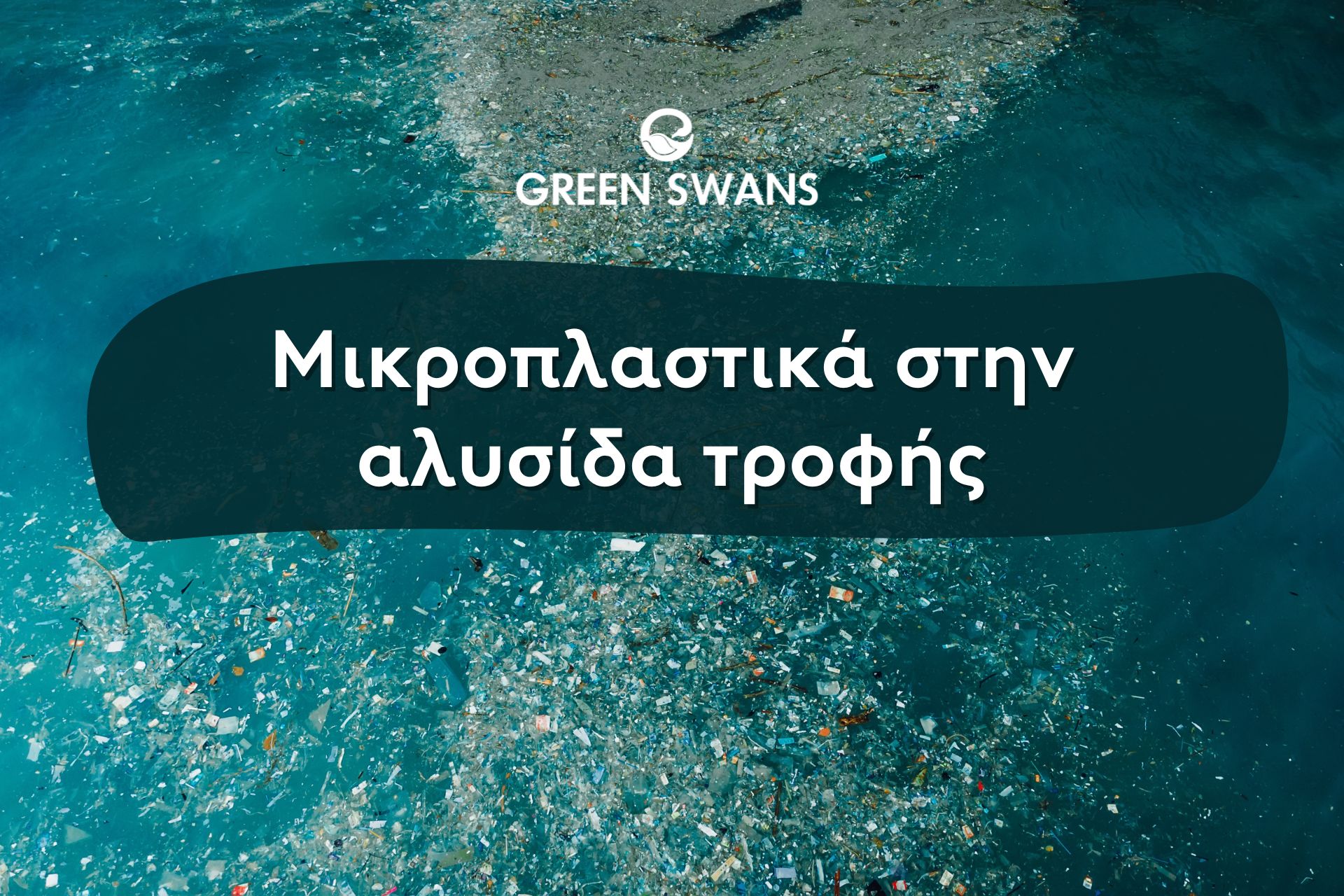 Μικροπλαστικά στην αλυσίδα τροφής: Η αόρατη κρίση